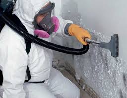 Best Forensic Mold Investigation  in Smithville, TX